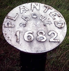 Plantation marker