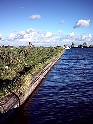 Land, water and sky