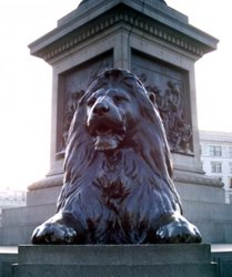 One of the lions at the base of Nelson's Column