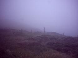 Foggy moor from County Gate