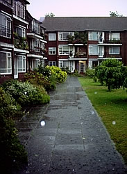 Pathway of puddles