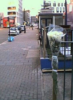 Flowers for Mary Flowers for Mary