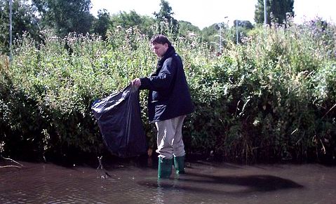 Litter picking in the Purwell