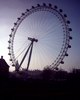 The London Eye from the Thames Path