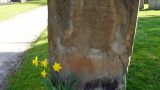 Springtime in the churchyard