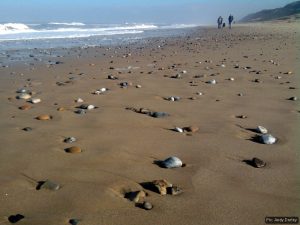 Hemsby beach